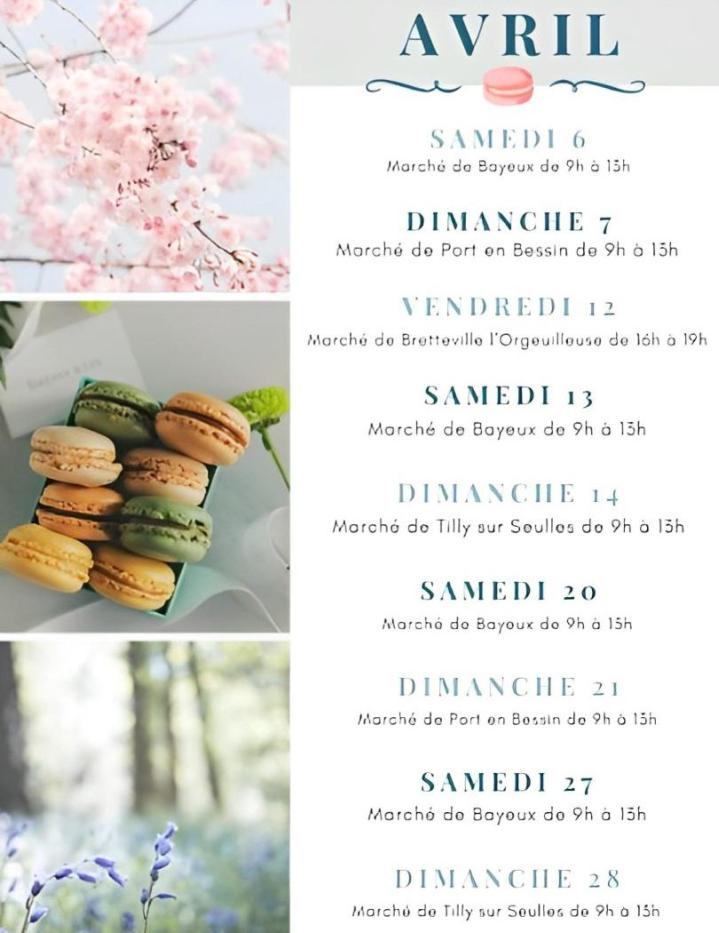 Macarons artisanaux et frais Caen